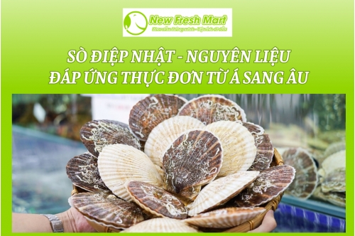Sò Điệp Nhật - Nguyên Liệu Đáp Ứng Thực Đơn Từ Á Sang Âu Sò Điệp Nhật - Nguyên Liệu Đáp Ứng Thực Đơn Từ Á Sang Âu