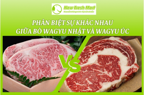 Sự Khác Nhau Giữa Bò Wagyu Nhật Và Wagyu Úc Sự Khác Nhau Giữa Bò Wagyu Nhật Và Wagyu Úc