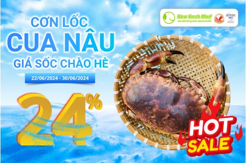 Cơn Lốc Cua Nâu - Giá Sốc Chào Hè