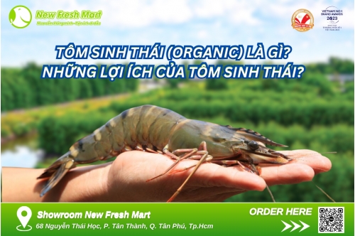 Tôm Sinh Thái - Xu Hướng Lựa Chọn Của Chị Em Nội Trợ Thời Nay Tôm Sinh Thái - Xu Hướng Lựa Chọn Của Chị Em Nội Trợ Thời Nay