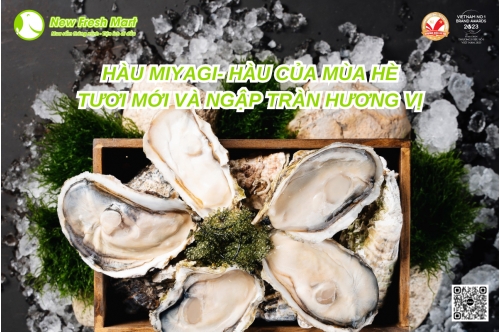 Hàu Miyagi- Hàu Của Mùa Hè, Tươi Mới Và Ngập Tràn Hương Vị Hàu Miyagi- Hàu Của Mùa Hè, Tươi Mới Và Ngập Tràn Hương Vị