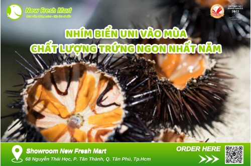 Nhím Biển Uni Vào Mùa - Chất Lượng Trứng Ngon Nhất Năm Nhím Biển Uni Vào Mùa - Chất Lượng Trứng Ngon Nhất Năm