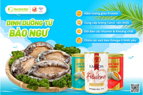 Những Lợi Ích Của Bào Ngư Đối Với Sức Khỏe Những Lợi Ích Của Bào Ngư Đối Với Sức Khỏe
