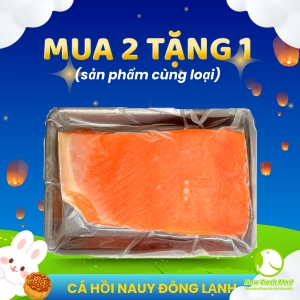 Cá Hồi Nauy Fillet Đông