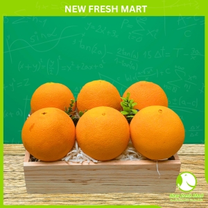 Hộp Quà Cam Vàng Late Novel Mỹ Size 56