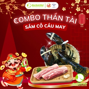 Combo Thần Tài 05
