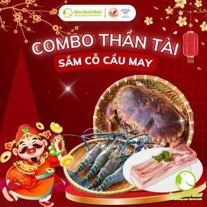 Combo Thần Tài 09
