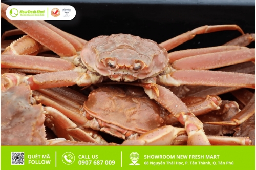 Cua Tuyết Là Gì? Các Loại Cua Tuyết Phổ Biến?