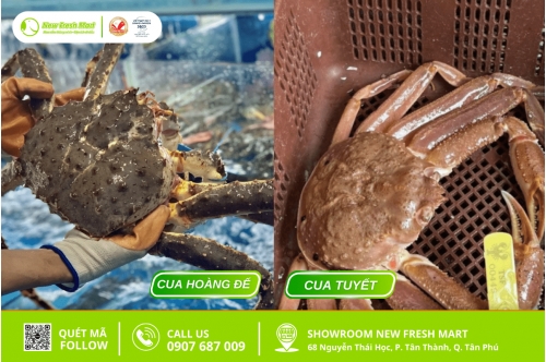 So Sánh Cua Tuyết Và Cua Hoàng Đế: Đặc Điểm Và Cách Chế Biến