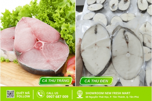 Cá Thu Trắng Và Cá Thu Đen: Loại Nào Ngon Hơn? Cá Thu Trắng Và Cá Thu Đen: Loại Nào Ngon Hơn?