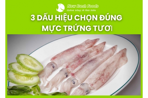 3 Dấu Hiệu Chọn Đúng Mực Trứng Tươi 3 Dấu Hiệu Chọn Đúng Mực Trứng Tươi