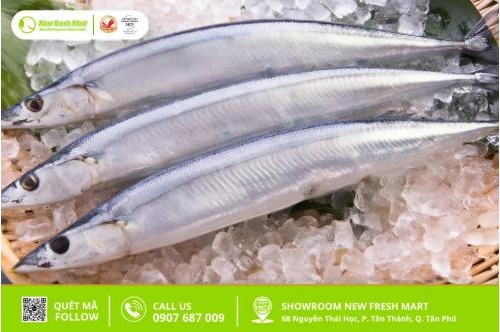 Top 4 Sự Thật Thú Vị Về Cá Thu Nhật Top 4 Sự Thật Thú Vị Về Cá Thu Nhật