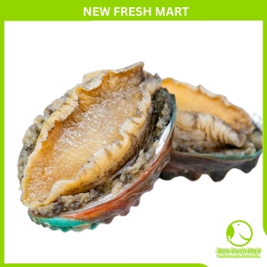 Combo Bào Ngư Đông Lạnh Combo Bào Ngư Đông Lạnh