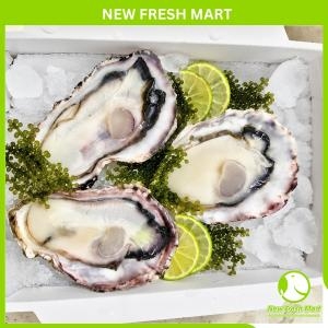 Sashimi Hau Nhật 02