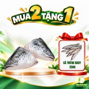 Đầu Cá Hồi Nauy