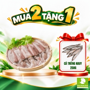 Mực Sữa