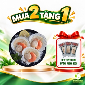 Sò Điệp Nhật Nửa Mảnh Size 8/10