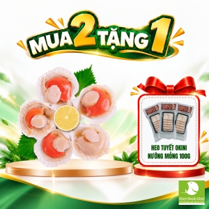 Sò Điệp Nhật Nửa Mảnh Size 31/40