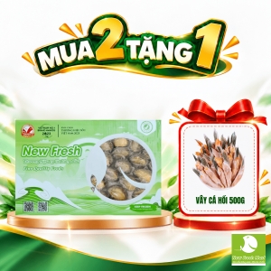 Bào Ngư Đông Lạnh New Fresh 20-22