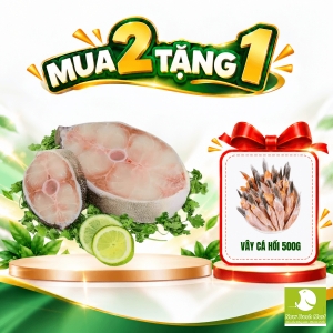 Cá Bớp Cắt Khoanh