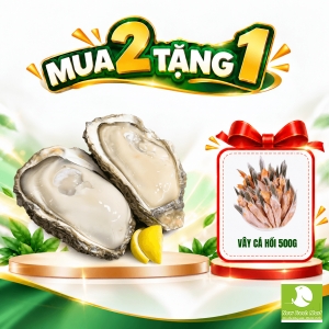 Hàu Nhật Nhập Khẩu