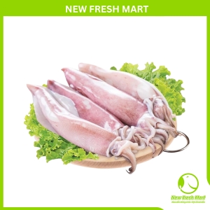 Mực Ống Làm Sạch Đặc Biệt Size 12/18