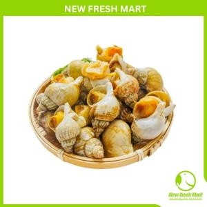 Ốc Bulot Pháp Đông Lạnh