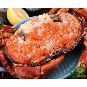 Cua Nâu Nauy Đông Lạnh - 1 Con