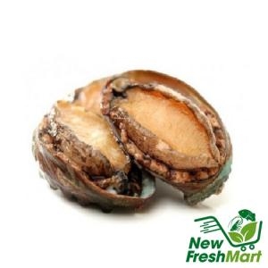 Bào Ngư Hàn Quốc Đông Lạnh