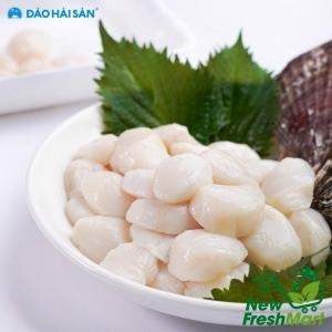 Cồi Sò Điệp Vn Size 60-80