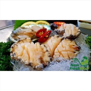 Bào Ngư Hàn Quốc Đông Lạnh