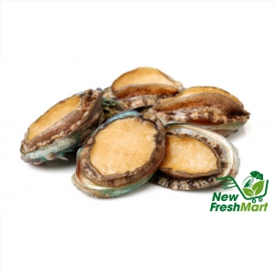 Bào Ngư Hàn Quốc Đông Lạnh