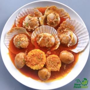 Sò Điệp Nhật Nguyên Con Đông