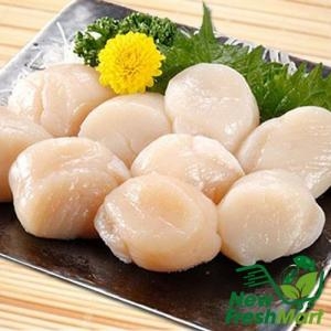 Cồi Sò Điệp Vn Size 60-80