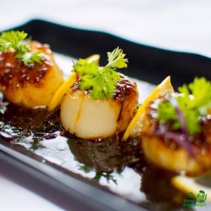 Cồi Sò Điệp Size Nhỏ