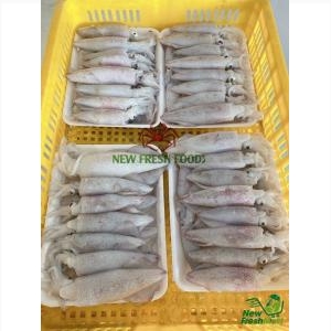 Mực Ống Làm Sạch