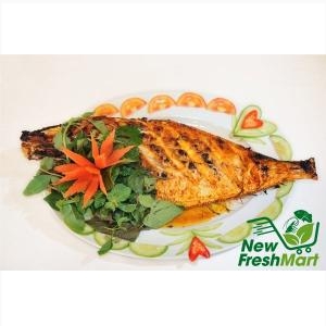 Cá Bò Da Nguyên Con Cá Bò Da Nguyên Con