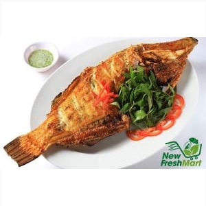Cá Bò Da Nguyên Con Cá Bò Da Nguyên Con