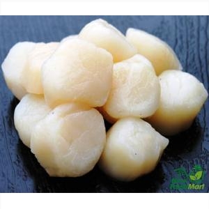 Cồi Sò Điệp Mỹ Size Lớn