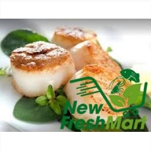 Cồi Sò Điệp Mỹ Size Lớn