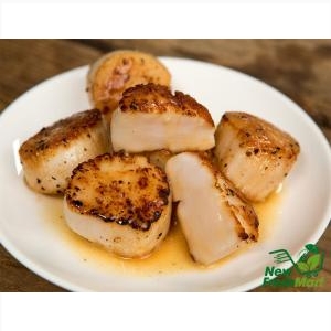 Cồi Sò Điệp Mỹ Size Lớn