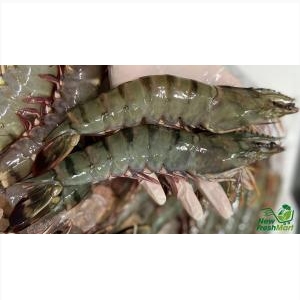 Tôm Sú Sinh Thái Đặc Biệt  - 1Kg