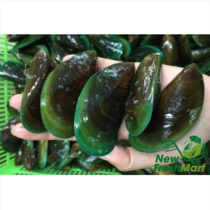 Vẹm Xanh Newzealand Westpac