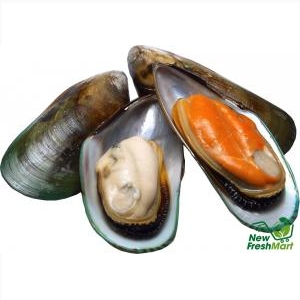 Vẹm Xanh Newzeland Nửa Mảnh