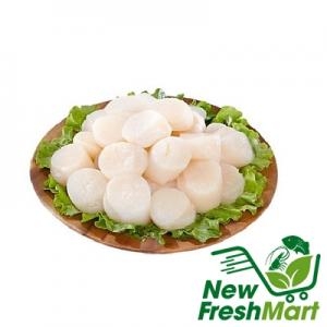 Cồi Sò Điệp Nhật Size Lớn Cồi Sò Điệp Nhật Size Lớn