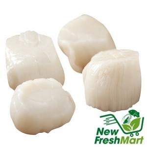 Cồi Sò Điệp Nhật Size Lớn Cồi Sò Điệp Nhật Size Lớn