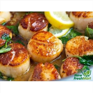 Cồi Sò Điệp Nhật Size Lớn Cồi Sò Điệp Nhật Size Lớn