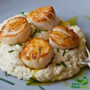 Cồi Sò Điệp Nhật Size Lớn Cồi Sò Điệp Nhật Size Lớn