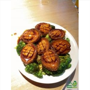 Bào Ngư Đông Lạnh Size 20-22