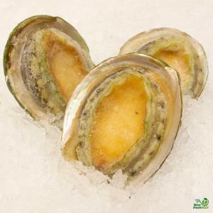 Bào Ngư Viền Xanh 8 - 10 Nguyên Vỏ - 2 Con